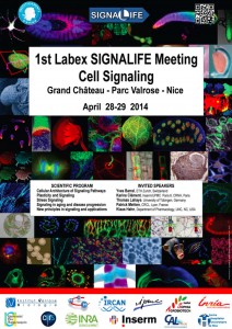 1st Labex SIGNALIFE Meeting Final Program-1